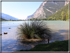 foto Lago di Toblino